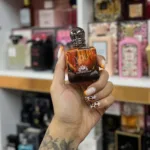 یو ابسولوت مینی